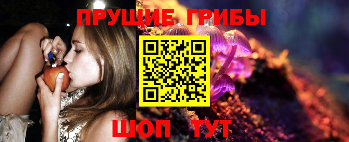 Бузулук  Галлюциногенные грибы GOLDEN TEACHER  Вход с VPN  Галлюциногенные грибы прущие грибы 